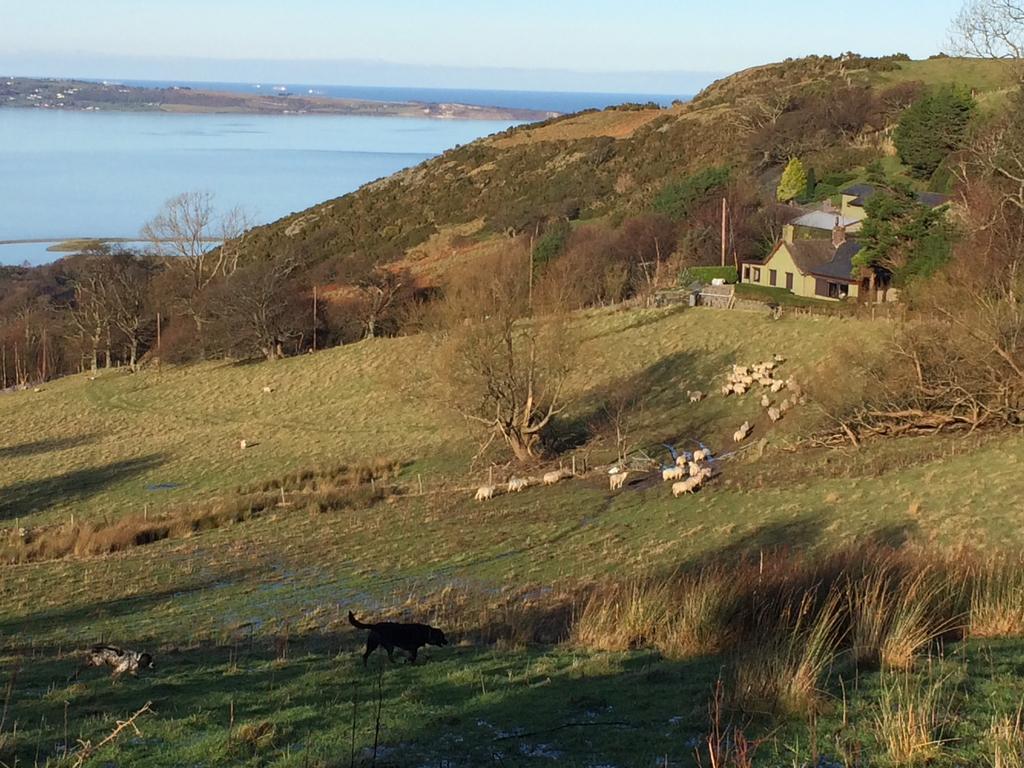 Rhiwiau Guesthouse Llanfairfechan Luaran gambar
